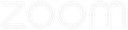 Zoom logo